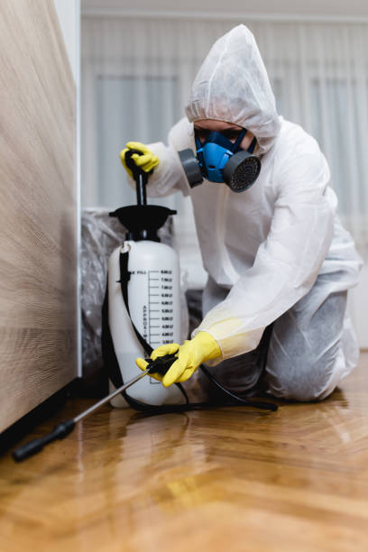 Best Indoor Pest Control  in Greilickville, MI